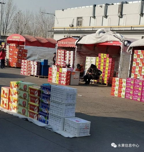 做水果生意,必須要知道的5大水果一級(jí)批發(fā)市場(chǎng)